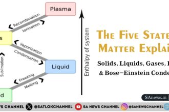 Five States of Matter Explained: Solids, Liquids, Gases, Plasma & Bose–Einstein Condensate