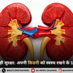छोटी आदतें, बड़ी सुरक्षा: अपनी किडनी को स्वस्थ रखने के 10 प्रभावी उपाय