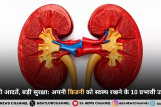 छोटी आदतें, बड़ी सुरक्षा: अपनी किडनी को स्वस्थ रखने के 10 प्रभावी उपाय
