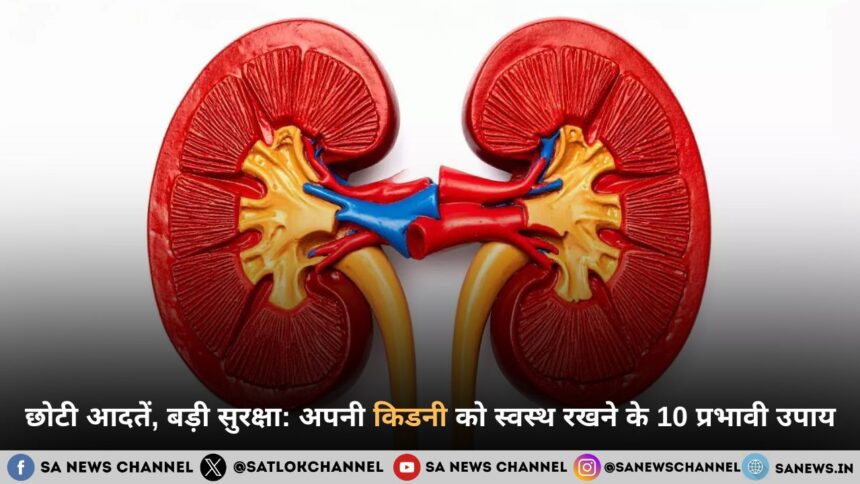 छोटी आदतें, बड़ी सुरक्षा: अपनी किडनी को स्वस्थ रखने के 10 प्रभावी उपाय