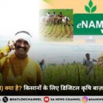 ई-नाम (e-NAM) क्या है? किसानों के लिए डिजिटल कृषि बाज़ार की सम्पूर्ण जानकारी