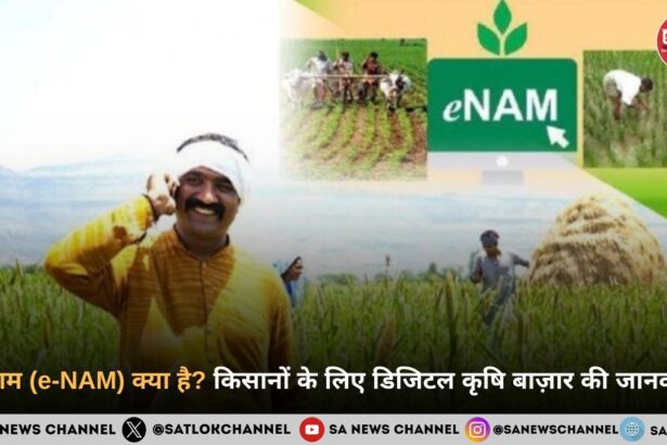 ई-नाम (e-NAM) क्या है? किसानों के लिए डिजिटल कृषि बाज़ार की सम्पूर्ण जानकारी