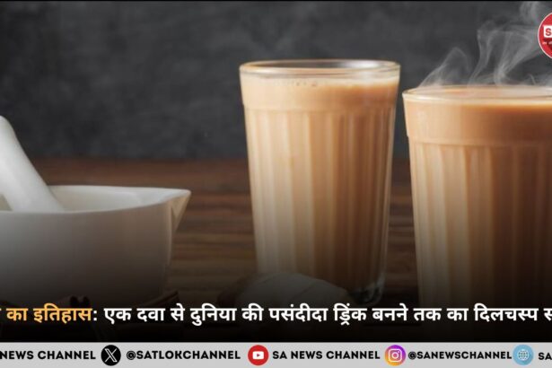 चाय का इतिहास: दवा से दुनिया की पसंदीदा ड्रिंक तक