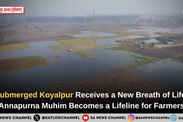 Flood relief work gives new life to Koyalpur village in Jhajjar district, Haryana.