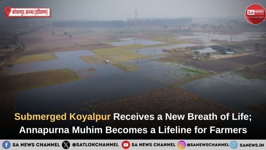 Flood relief work gives new life to Koyalpur village in Jhajjar district, Haryana.