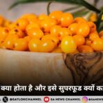 सी बकथॉर्न क्या होता है और इसे सुपरफूड क्यों कहा जाता है