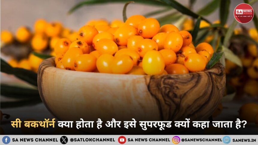 सी बकथॉर्न क्या होता है और इसे सुपरफूड क्यों कहा जाता है