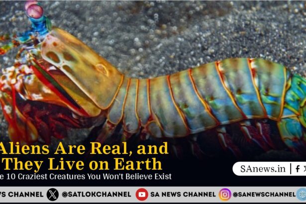 The 10 Craziest Creatures You Wont Believe Exist