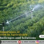 Importance of Irrigation in Agriculture Benefits, Challenges and Solutions