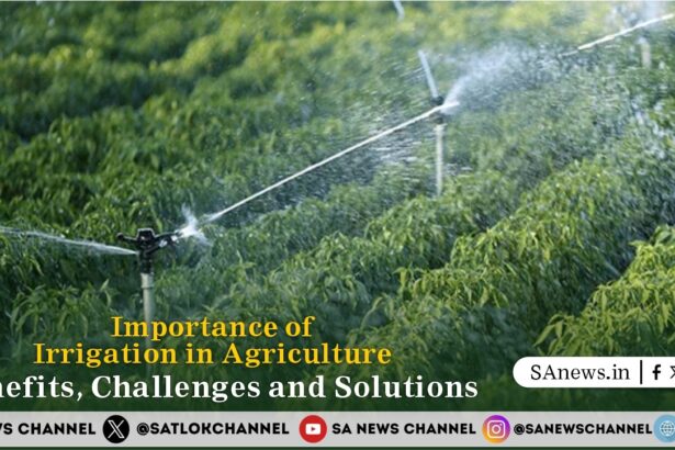 Importance of Irrigation in Agriculture Benefits, Challenges and Solutions