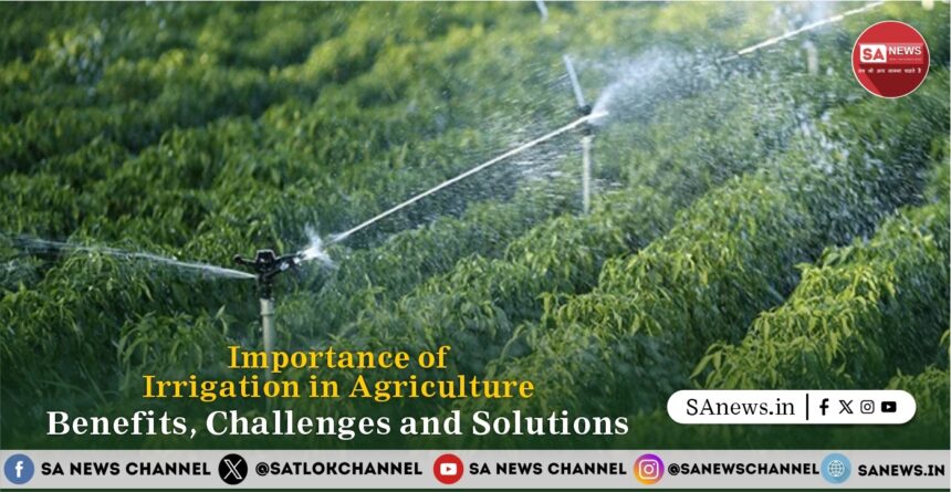 Importance of Irrigation in Agriculture Benefits, Challenges and Solutions