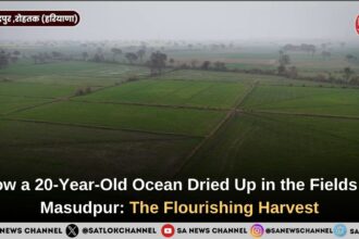 How a 20-Year-Old Ocean Dried Up in the Fields of Masudpur The Flourishing Harvest.jpg.jpeg