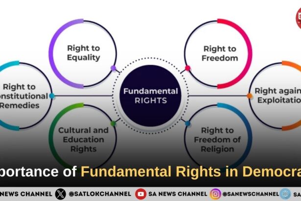 Importance of Fundamental Rights in Democracy
