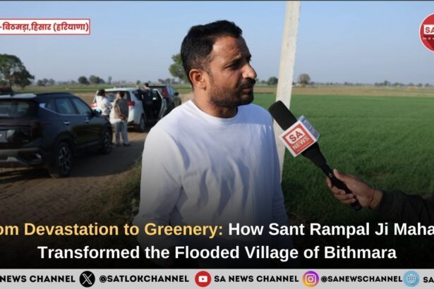From Devastation to Greenery How Sant Rampal Ji Maharaj Transformed the Flooded Village of Bithmara