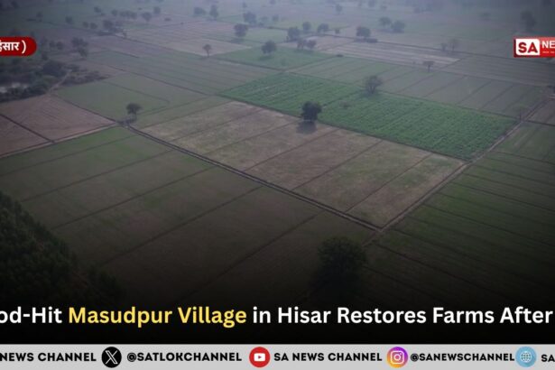 Flood-Hit Masudpur Village in Hisar Restores Farms After Aid