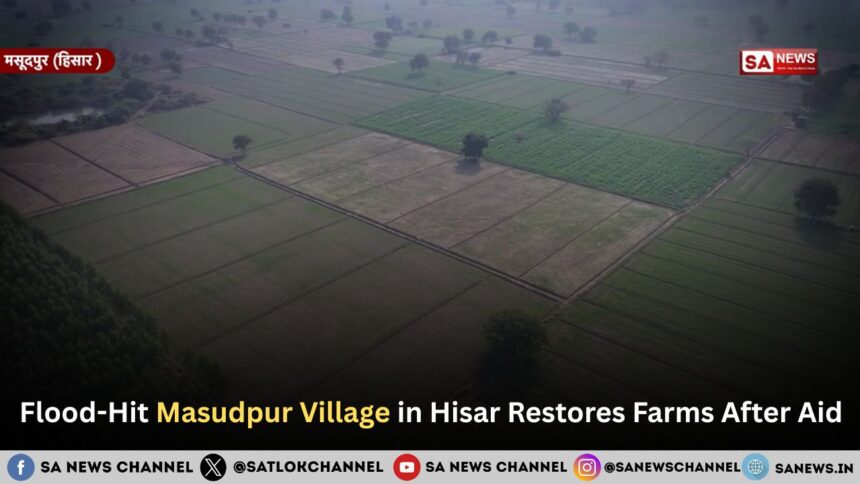 Flood-Hit Masudpur Village in Hisar Restores Farms After Aid