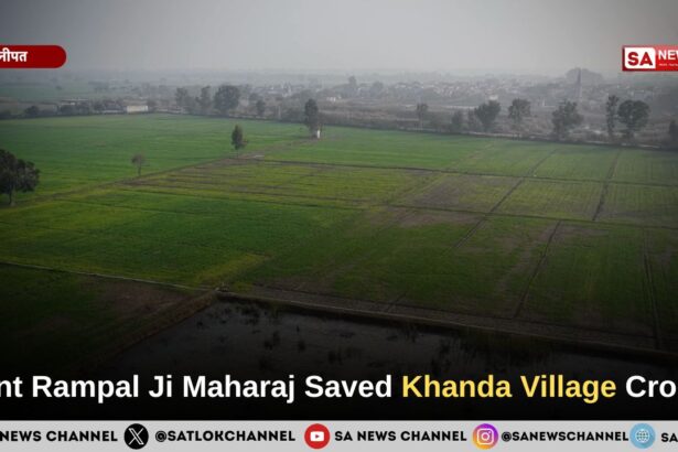 Sant Rampal Ji Maharaj Saved Khanda Village Crops