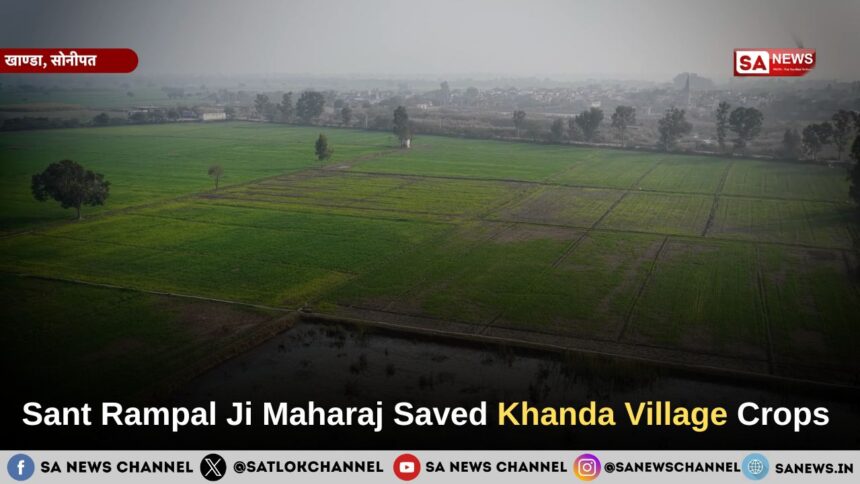 Sant Rampal Ji Maharaj Saved Khanda Village Crops