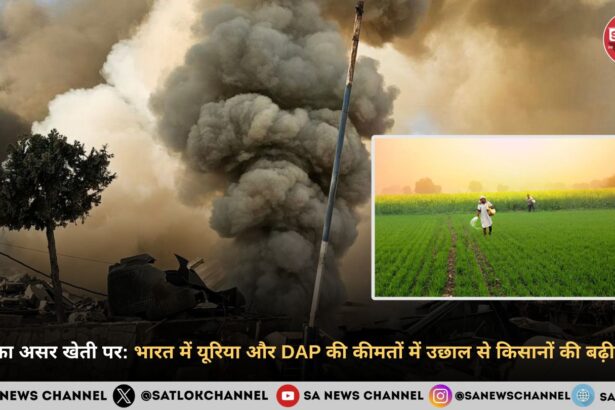 युद्ध का असर खेती पर: भारत में यूरिया और DAP की कीमतों में उछाल से किसानों की बढ़ी चिंता