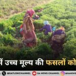 भारत में उच्च मूल्य की फसलों को बढ़ावा