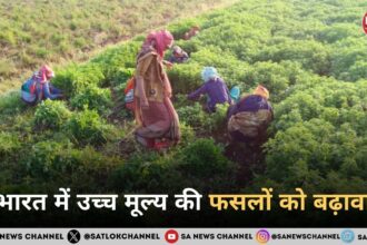 भारत में उच्च मूल्य की फसलों को बढ़ावा