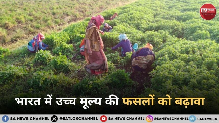 भारत में उच्च मूल्य की फसलों को बढ़ावा