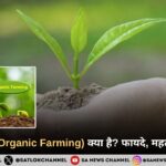 जैविक खेती क्या है? फायदे, महत्व और भविष्य | Organic Farming