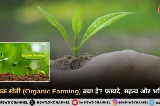 जैविक खेती क्या है? फायदे, महत्व और भविष्य | Organic Farming