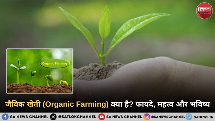 जैविक खेती क्या है? फायदे, महत्व और भविष्य | Organic Farming