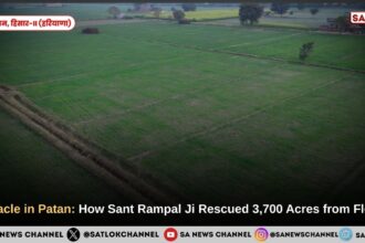 Beyond the Deluge: The Resurrection of Patan Village