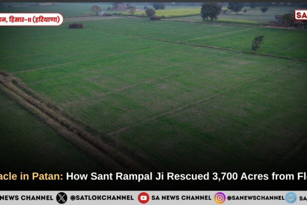 Beyond the Deluge: The Resurrection of Patan Village