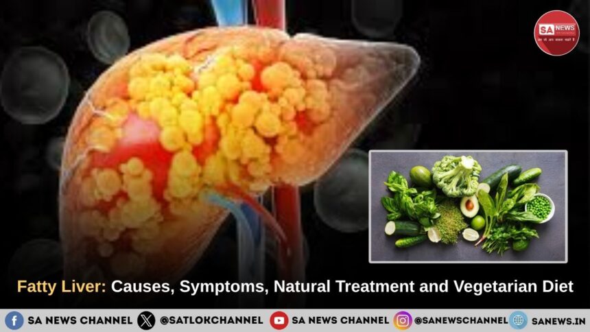 Fatty Liver: Causes, Symptoms, Natural Treatment and Vegetarian Diet
