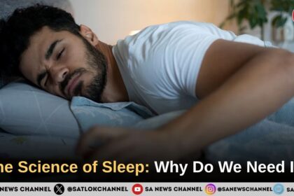 The Science of Sleep: Why Do We Need It?
