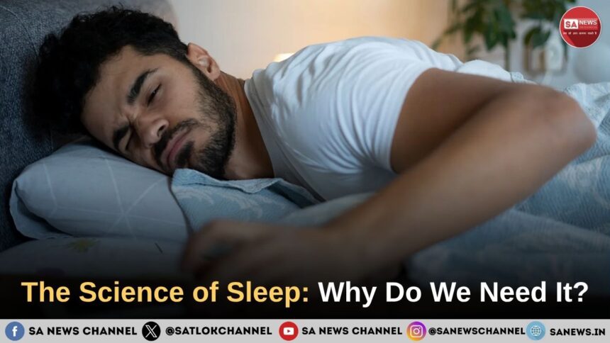 The Science of Sleep: Why Do We Need It?