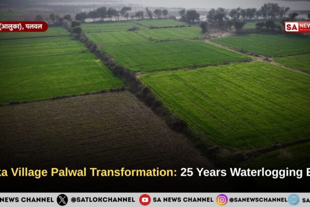 Aluka Village Palwal Transformation: 25 Years Waterlogging Ends