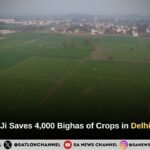 Saint Rampal Ji Saves 4,000 Bighas of Crops in Delhi’s Kair Village