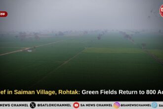 Relief in Saiman Village, Rohtak: Green Fields Return to 800 Acres