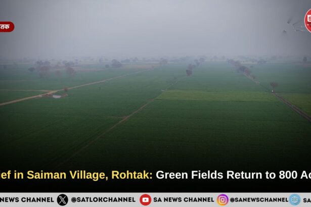 Relief in Saiman Village, Rohtak: Green Fields Return to 800 Acres