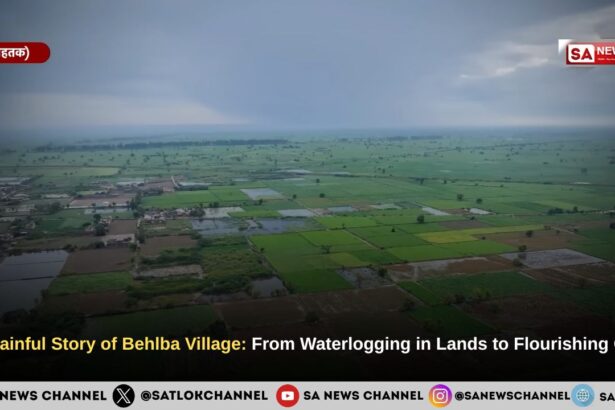 The Painful Story of Behlba Village: From Waterlogging in Lands to Flourishing Crops