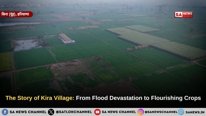 The Story of Kira Village: From Flood Devastation to Flourishing Crops