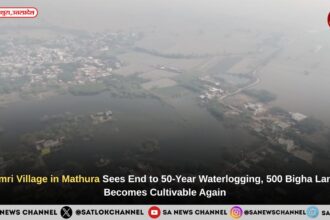 Umri Village in Mathura Sees End to 50-Year Waterlogging, 500 Bigha Land Becomes Cultivable Again