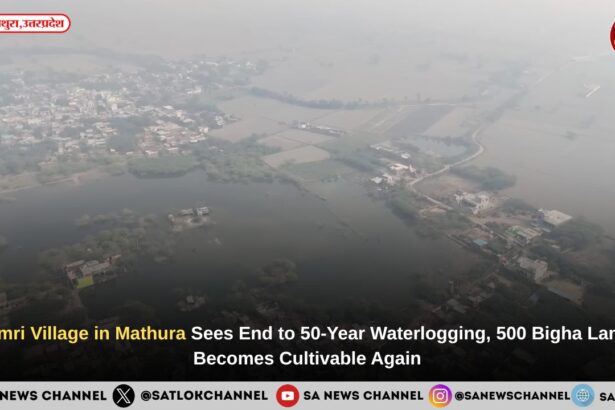 Umri Village in Mathura Sees End to 50-Year Waterlogging, 500 Bigha Land Becomes Cultivable Again