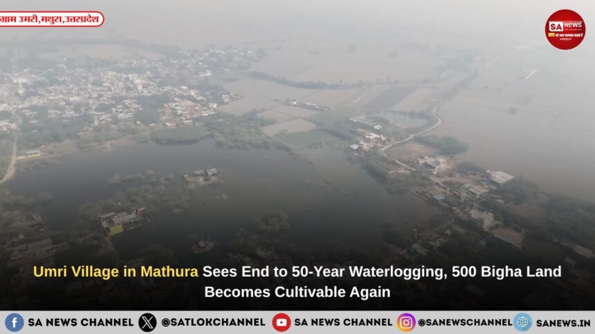 Umri Village in Mathura Sees End to 50-Year Waterlogging, 500 Bigha Land Becomes Cultivable Again