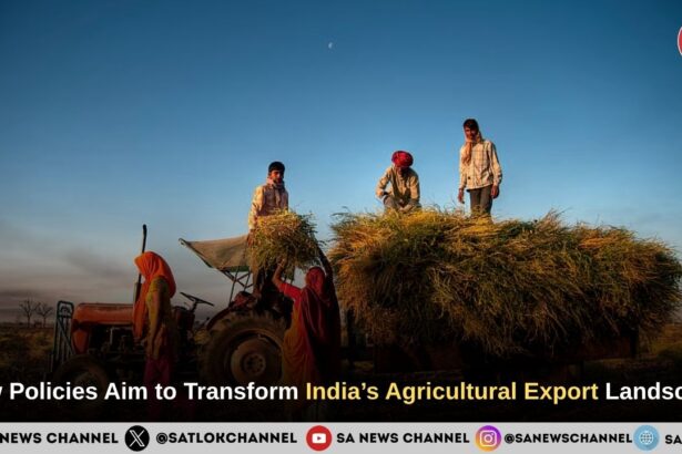 New Policies Aim to Transform India’s Agricultural Export Landscape