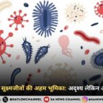 मानव विकास में सूक्ष्मजीवों की अहम भूमिका: अदृश्य लेकिन अनमोल सहयोगी