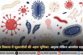 मानव विकास में सूक्ष्मजीवों की अहम भूमिका: अदृश्य लेकिन अनमोल सहयोगी