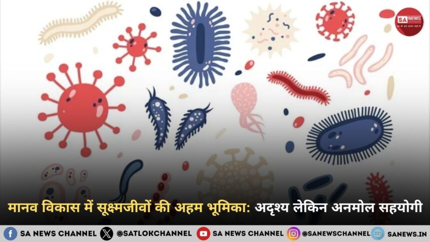 मानव विकास में सूक्ष्मजीवों की अहम भूमिका: अदृश्य लेकिन अनमोल सहयोगी