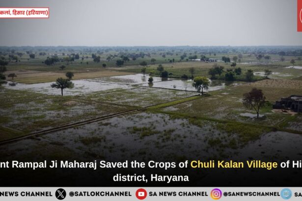 Saint Rampal Ji Maharaj Saved the Crops of Chuli Kalan Village of Hisar district, Haryana