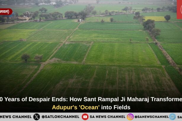 20 Years of Despair Ends: How Sant Rampal Ji Maharaj Transformed Adupur's 'Ocean' into Fields