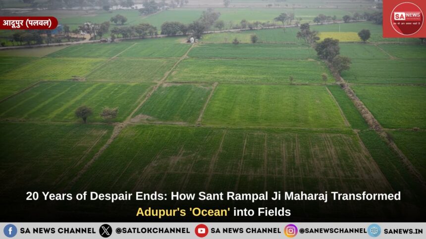 20 Years of Despair Ends: How Sant Rampal Ji Maharaj Transformed Adupur's 'Ocean' into Fields
